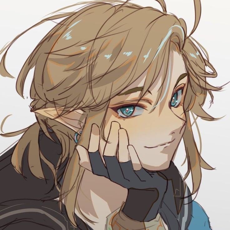 Link ( BOTW)