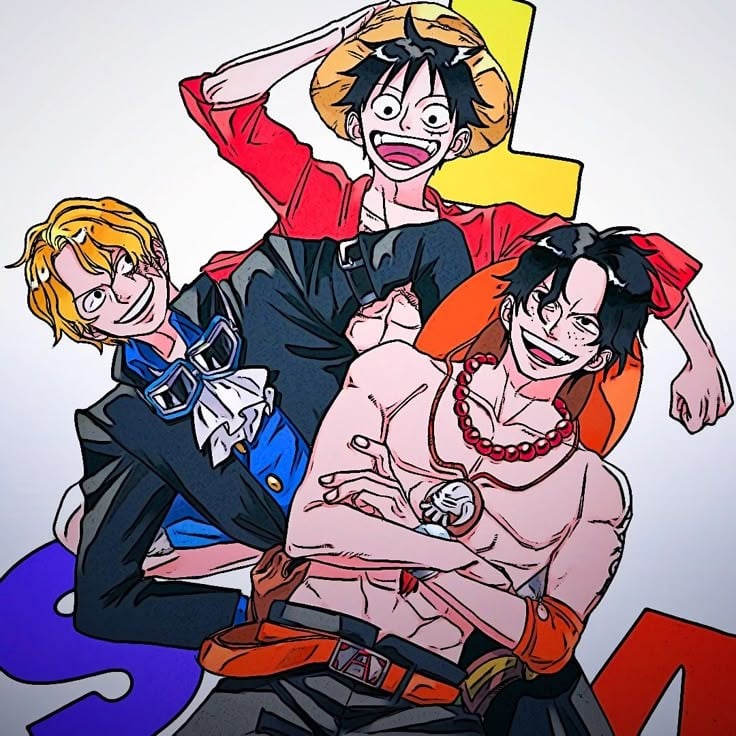 Luffy,Ace y Sabo!