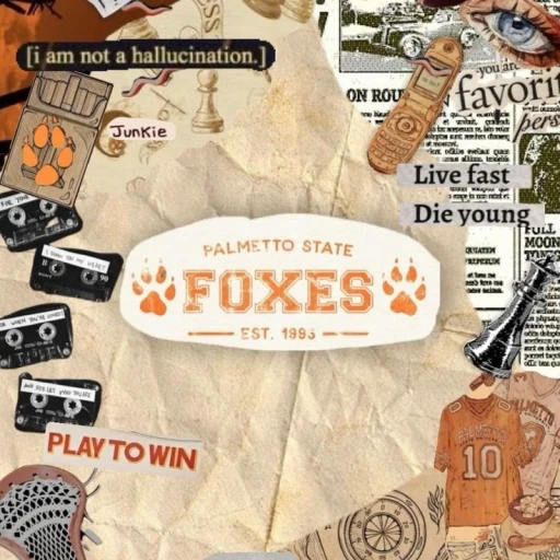 aftg | Fox Hole, Palmetto
