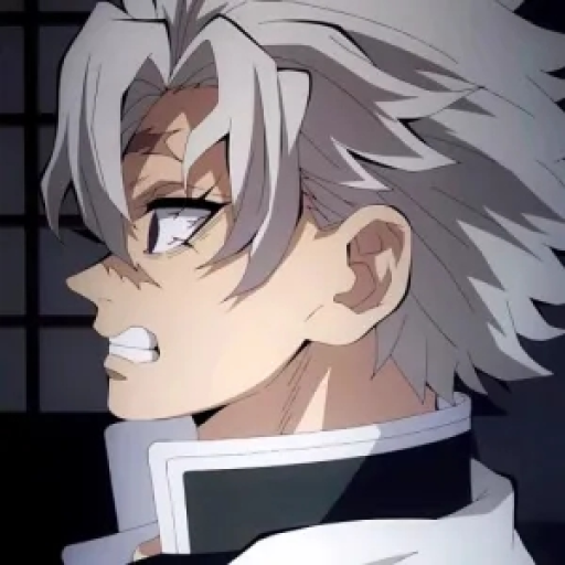 ¡!Sanemi Shinazugawa!¡