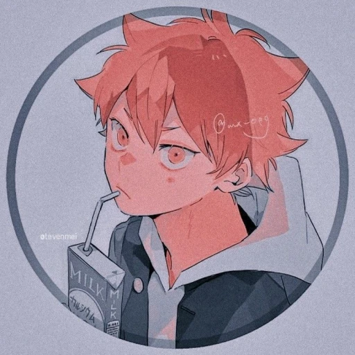 Hinata Shoyo ☀️