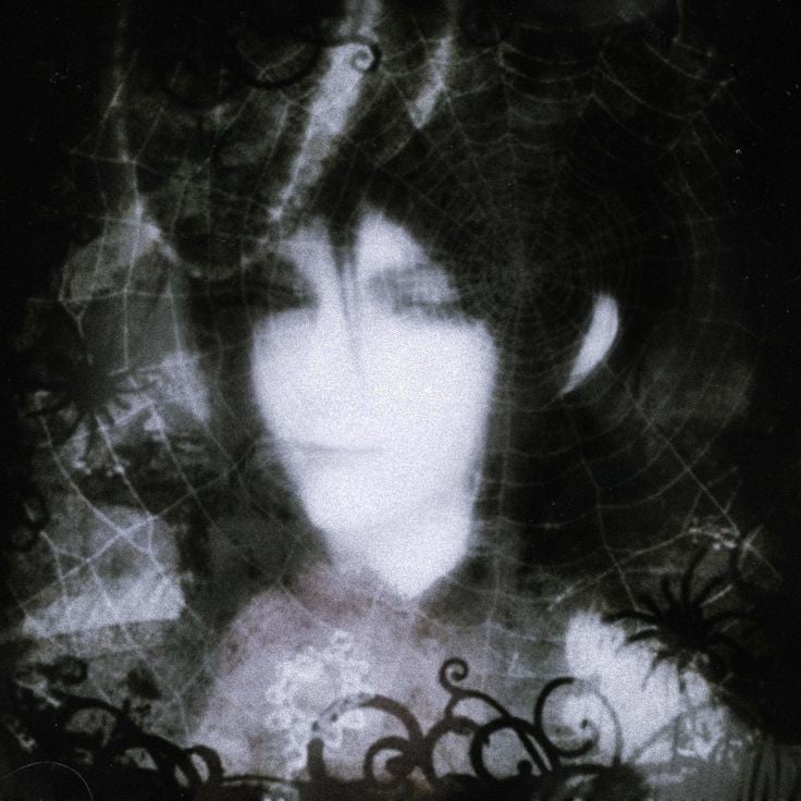 ☾𖤓𝗕𝗮𝗰𝗮𝗿𝗱𝗶୭˚. ౨ৎ