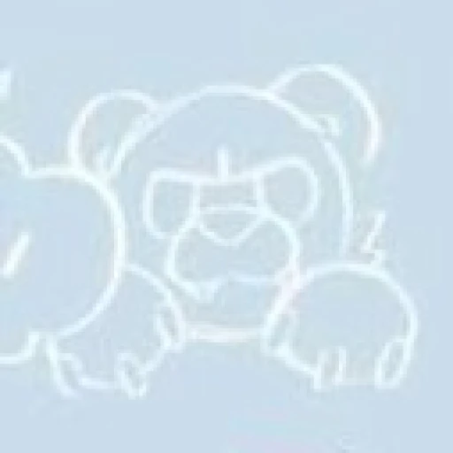 Bruce!!!!!!🐻