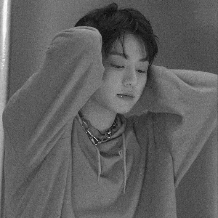 Jeon Jungkook—alpha