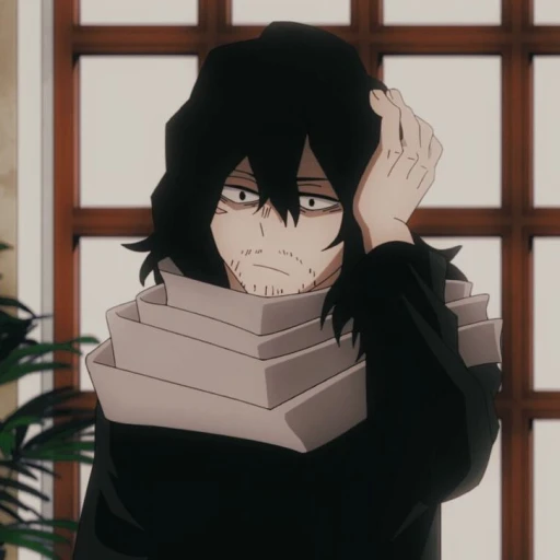 Aizawa Shouta¹