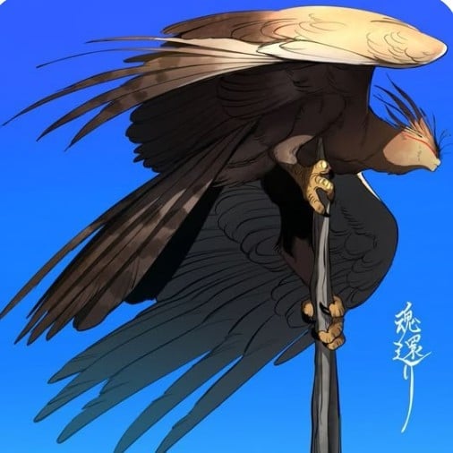 falcon