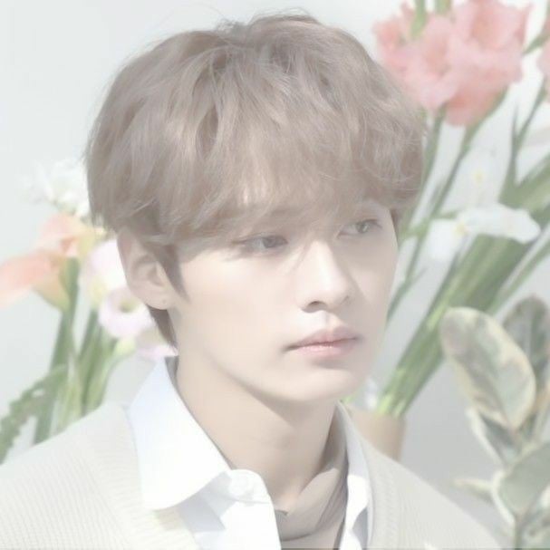 ─ .✦ 𝗟𝗲𝗲 𝗺𝗶𝗻𝗵𝗼