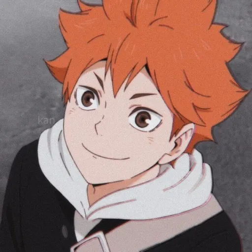 Hinata Shoyo. (BL)
