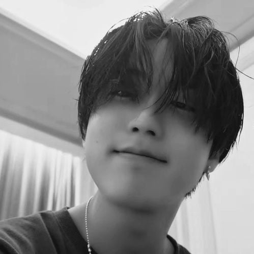 Han Jisung | 10