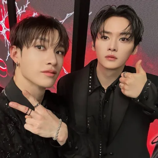 🐺 🧡Bangchan & Lee Minho🦊🩶