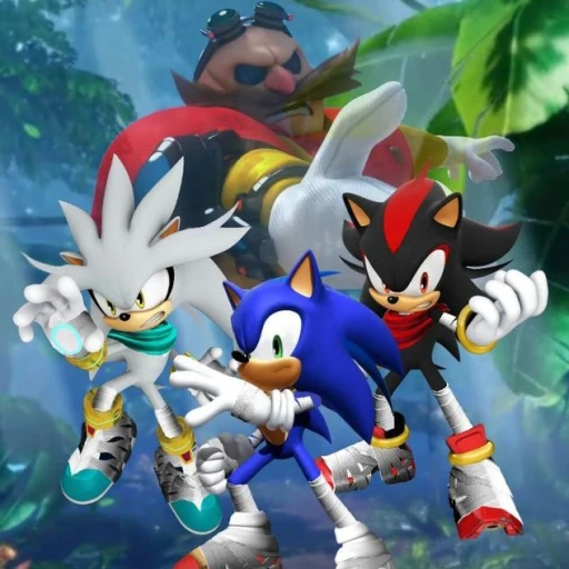 Sonic Role