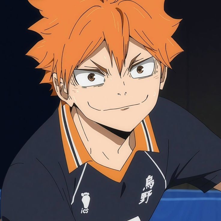 Hinata Shoyo | Bl ¹