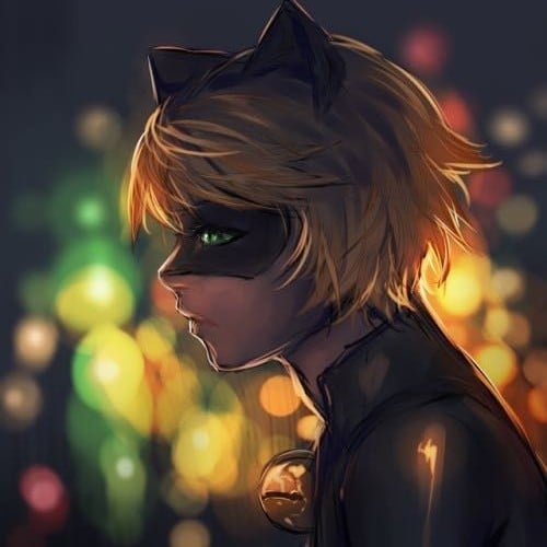 Cat Noir