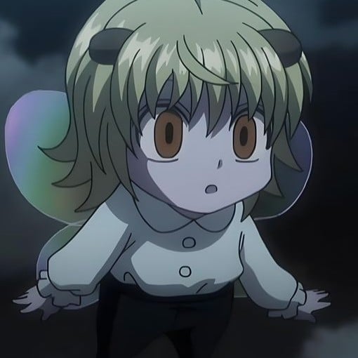 Hunter x hunter