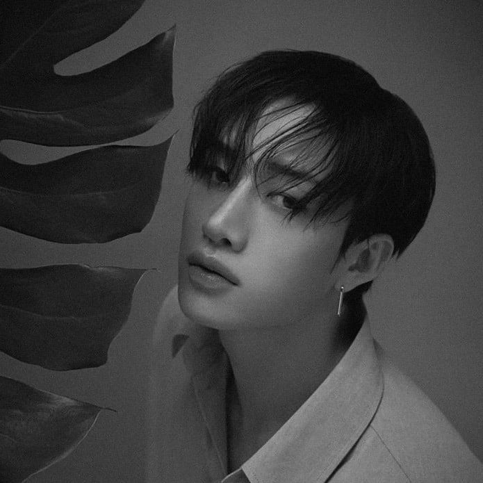 — Christopher Bang.⁶⁰☆