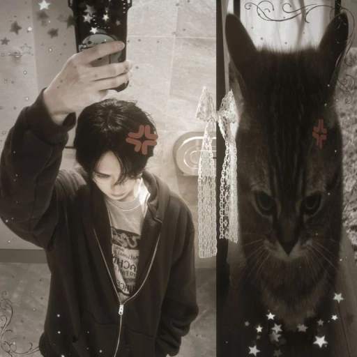 Դ ੭୧ ᅤׅ 𝗟𝗲𝗲 𝗠𝗶𝗻𝗵𝗼 ׁ Ԫ ࣪ Դ _.🐈🐈⬛