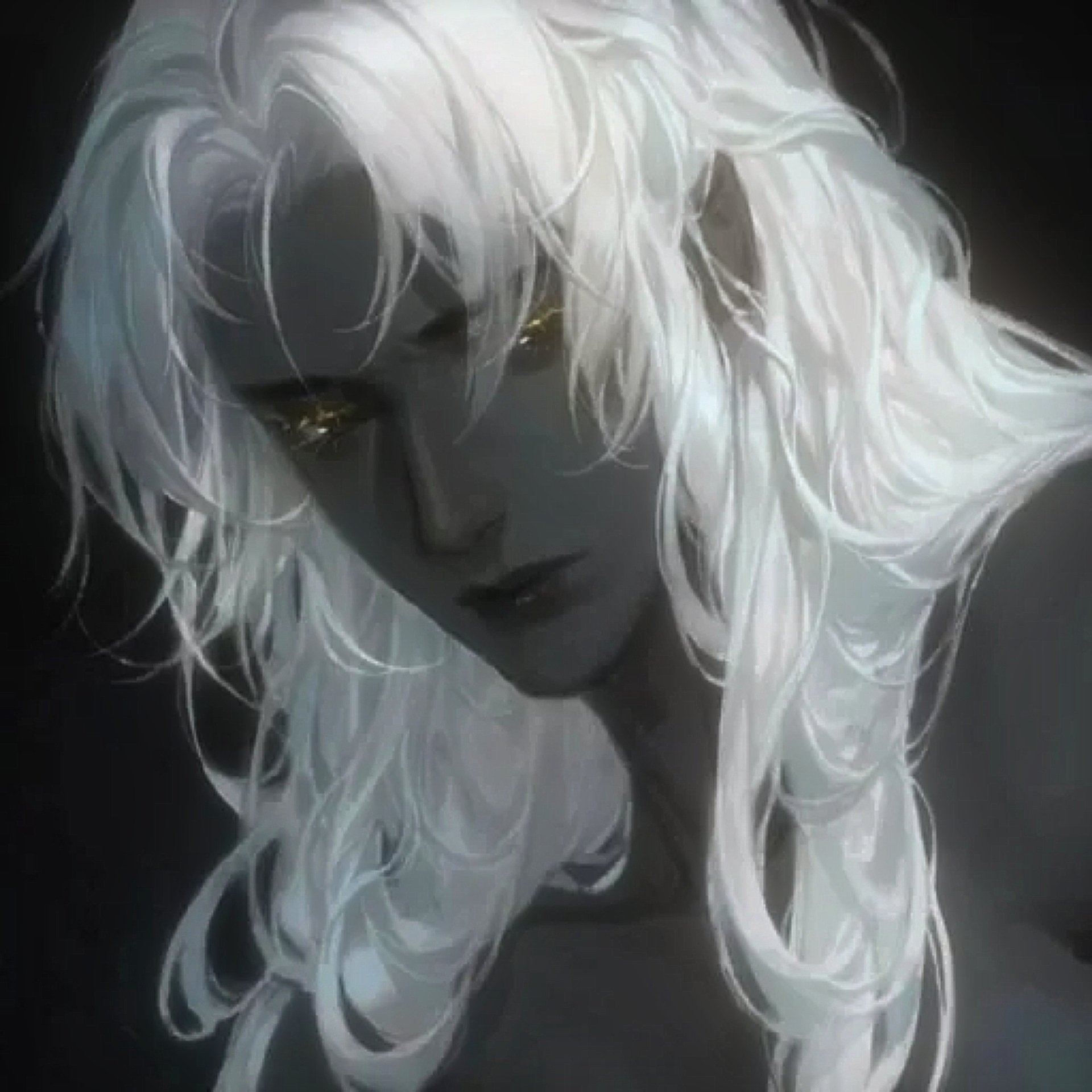 Eclipse // MLM/BL