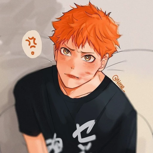 Shoyo Hinata