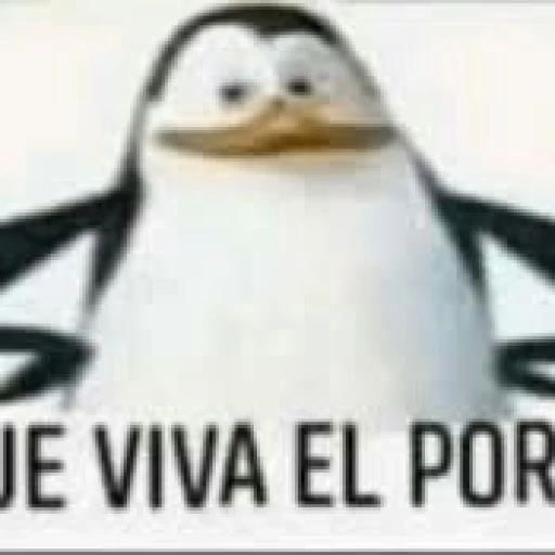 XD?