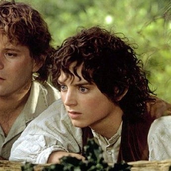 Frodo Baggins|Hobitt the Darling