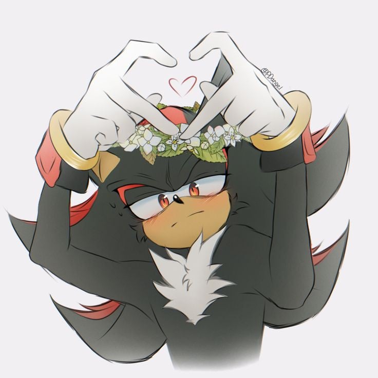 💕Shadow The Hedgehog💕