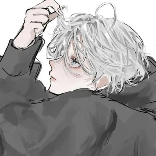 Yam BL