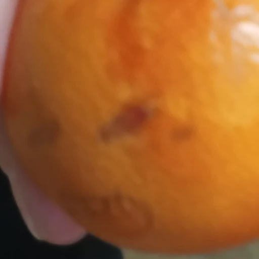 tangerino pocalypse