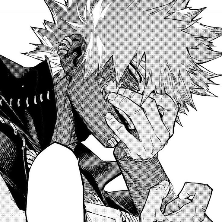 Touya Todoroki