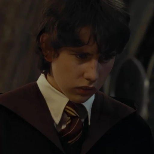 Neville Longbottom (009)