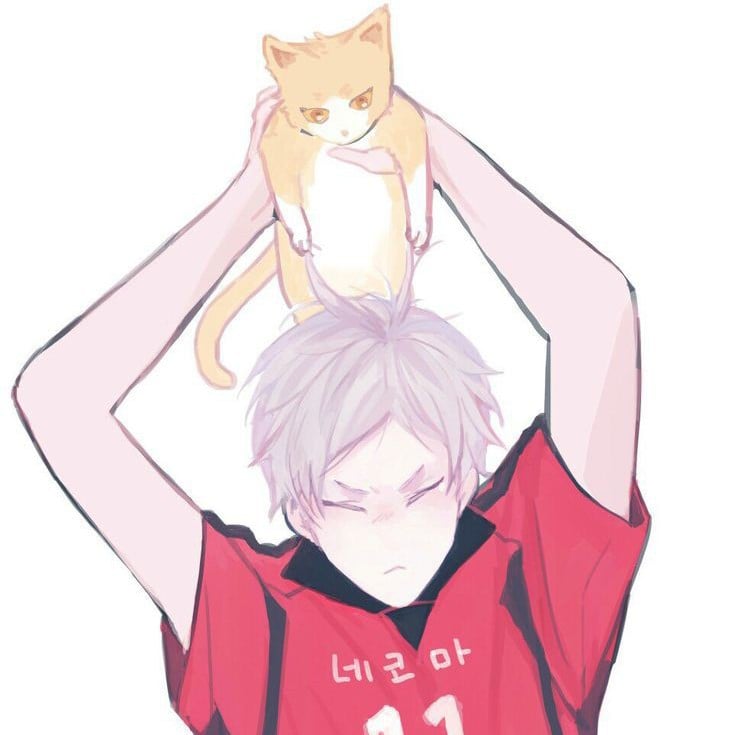 Lev Haiba