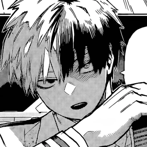 ☆Todoroki Shoto [BL]•˚˙∘