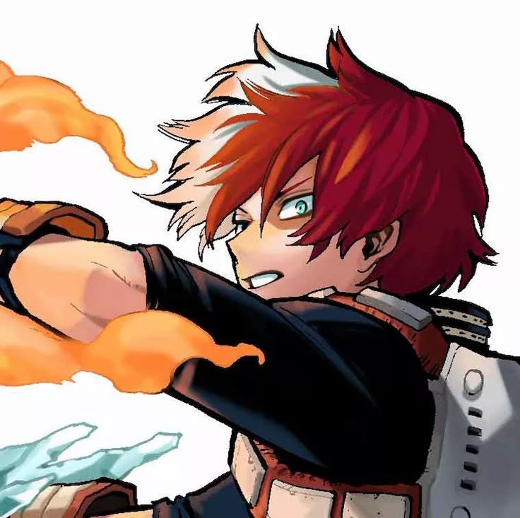 Shoto Todoroki ¹³