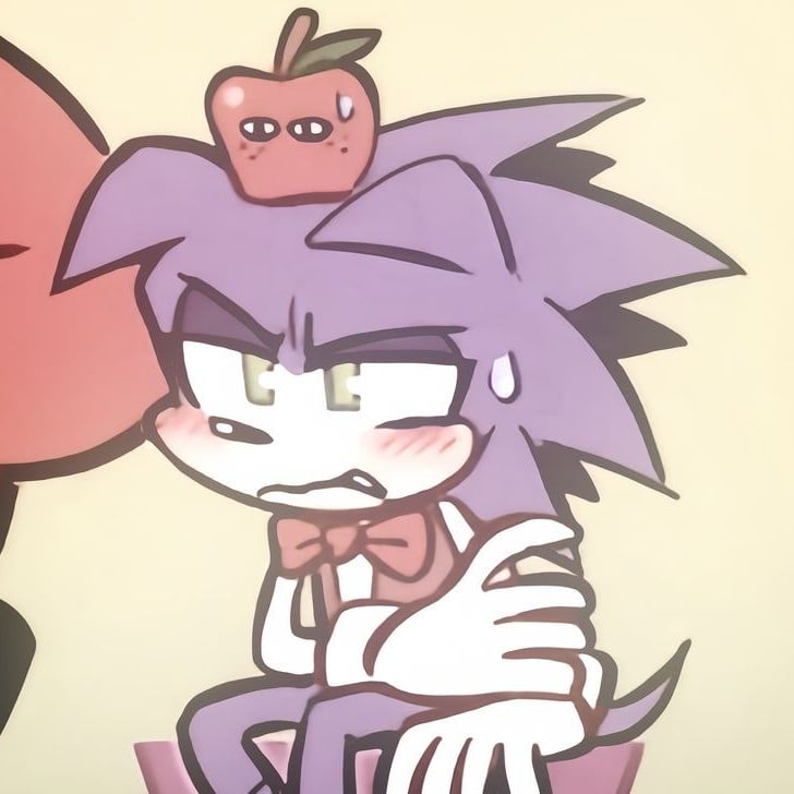 Sonic schoolhouse