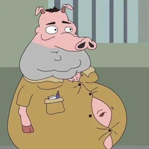 2x2 pig