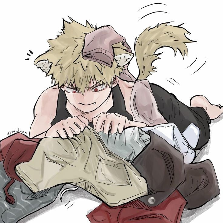 Bakugo Katsuki