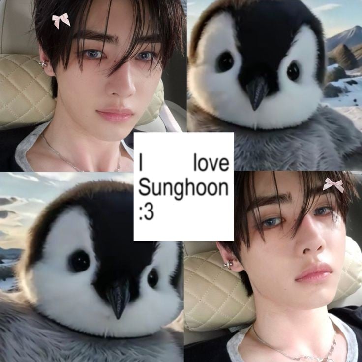 Sunghoonii (This appears to be a name or nickname)