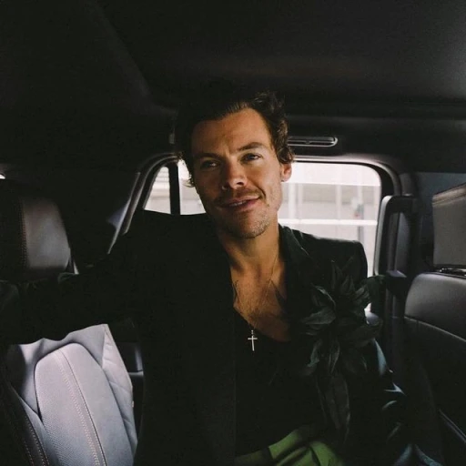 Harry Styles?