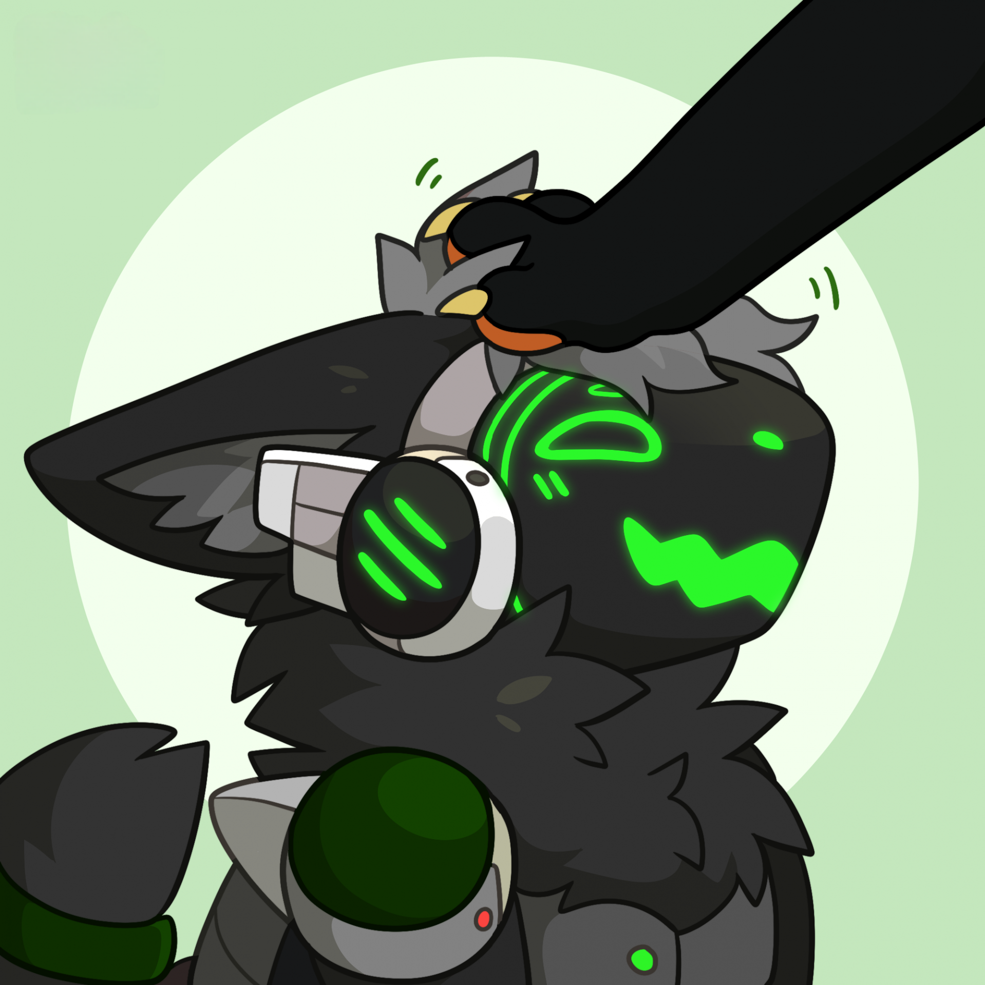 Zev