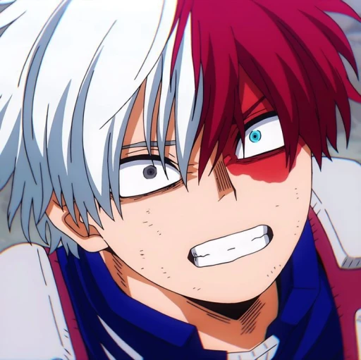 Shoto Todoroki| [❄️🔥]