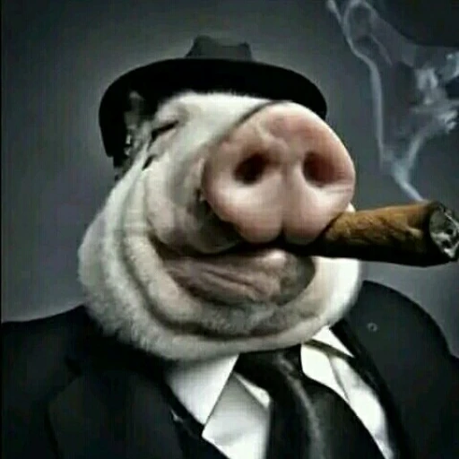 Pig Mafia