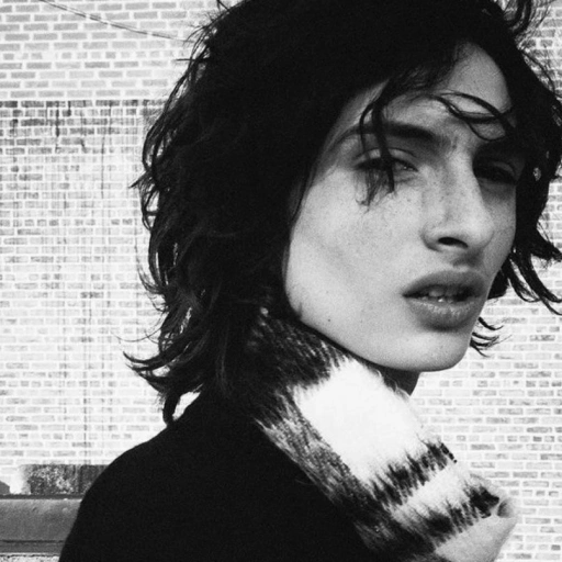 Finn Wolfhard²²
