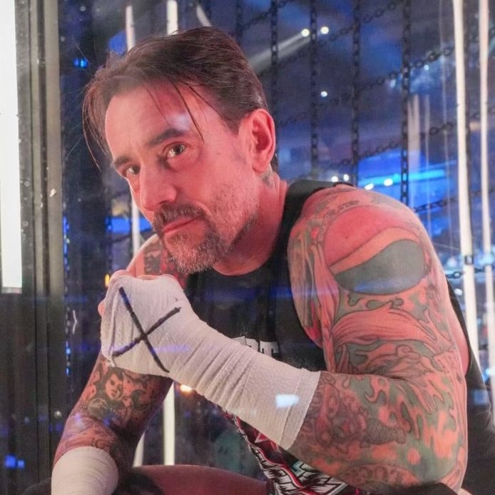 CM punk