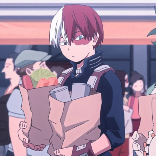Shoto Todoroki ─🛍️