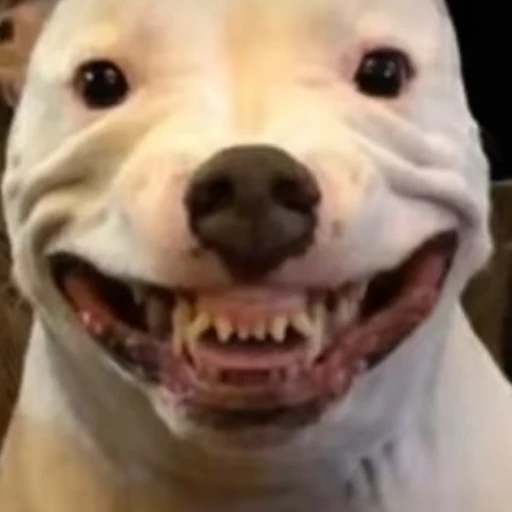 ?????