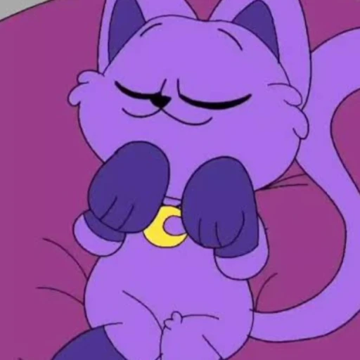cat nap sleepyhead