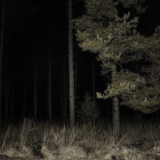 the hospital forest.