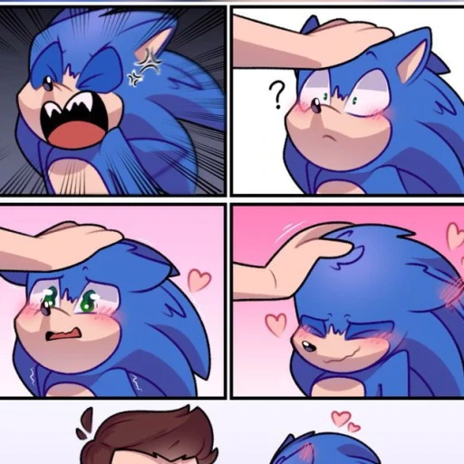 Sonic 🦔💙