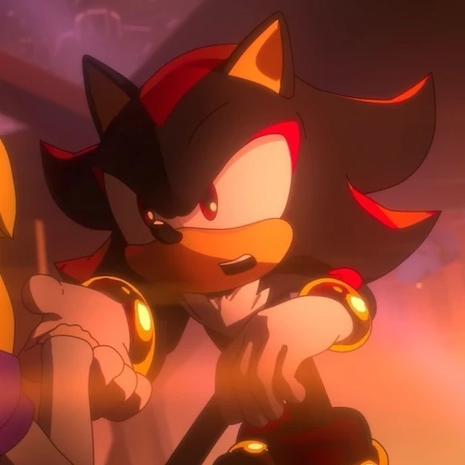 21 Shadow the Hedgehog!