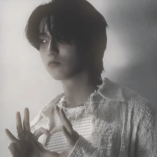 Han Jisung (_ Minsung _)