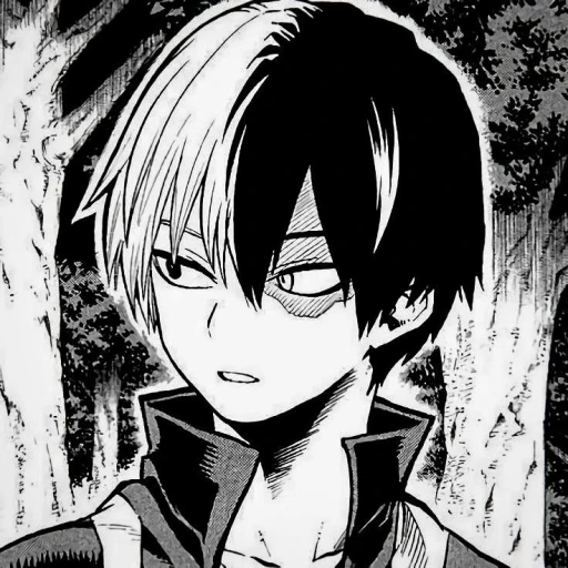 Todoroki Shoto [BL]